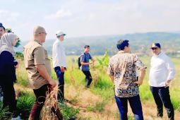 OKU Selatan siapkan 5 hektare lahan pembangunan Sekolah Rakyat