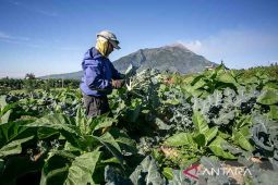 Memastikan data statistik selaras dengan realitas ekonomi