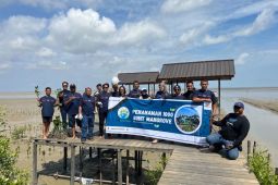 Astra Motor Kalbar Dukung Pelestarian Lingkungan dengan Tanam Pohon Mangrove