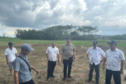 Kemenko Infrastruktur mendukung program swasembada pangan di Kabupaten Sambas