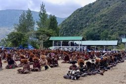 ASITA Papua: 230 wisman meramaikan Festival Budaya Lembah Baliem ke-33