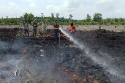 BPBD Sumsel catat 152 kejadian karhutla selama Januari-Agustus 2025