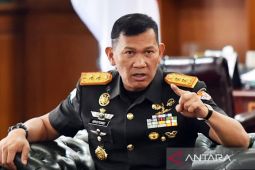 TNI tindak OPM di tiga titik menjelang HUT Ke-80 RI
