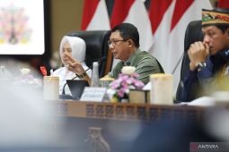 77 pos pantau karhutla siap beroperasi di Kalimantan Tengah