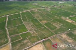 Pemkab Batang Hari masih buka program cetak sawah rakyat