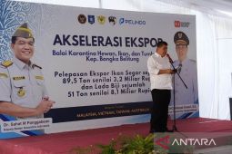 Gubernur Babel bantu 350 mesin kapal nelayan