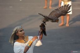 Pets Carnival Jember