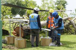 PLN wujudkan  komitmen pendidikan dan energi berkelanjutan kawasan 3T