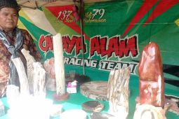 Kerajinan batu fosil Lebak Banten tembus pasar internasional