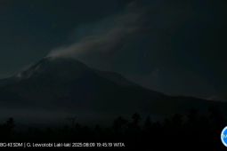 Gunung Lewotobi Laki-laki Flores Timur erupsi tiga kali dalam dua hari