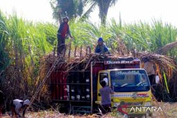 Kortastipidkor geledah empat lokasi terkait proyek PG Assembagoes