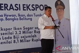Gubernur Babel tegaskan berantas penyelewengan BBM subsidi nelayan