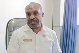 Pemprov Papeg optimalkan generasi muda di delapan kabupaten geluti ekraf