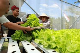 Pemkab Banyuwangi dorong lahirnya petani muda kreatif dan mandiri
