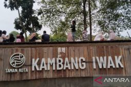 Pemkot Palembang rapikan kawasan wisata Taman Kambang Iwak