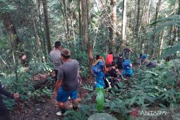Bulog HST salurkan 740 kg beras ke desa 3T di Pegunungan Meratus
