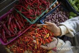 Harga cabai rawit Rp45.485/kg, bawang merah Rp47.658/kg