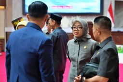 Wakil Ketua I DPRD Kalteng tekankan sinergi semua pihak cegah karhutla