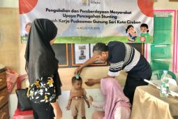 Dosen Vokasi UI gelar Pengmas upaya pencegahan stunting pada bayi dan balita