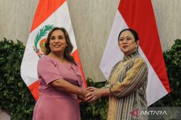 Indonesia-Peru commit to boosting cooperation on world heritage sites