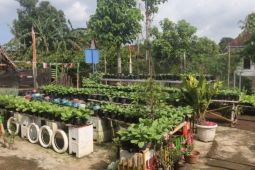 Unila beri pelatihan AI dan pengelolaan hayati bagi petani urban farming