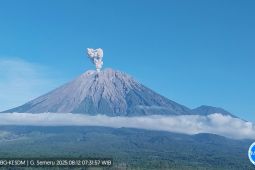 Semeru erupsi lima kali dengan tinggi hingga 1 km
