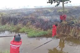 Balai Dalkarhut temukan kebakaran lahan di Kabupaten Ogan Ilir Sumsel