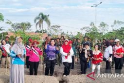 TP-PKK Katingan-TNI tanam 3.000 bibit cabai tekan inflasi