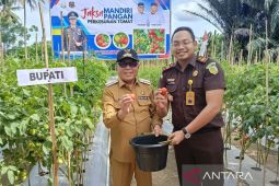 Bupati Gorontalo: Program Jaksa Mandiri Pangan dukung ketahanan pangan