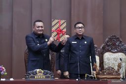 DPRD Gianyar-Bali setujui pinjaman Rp838 miliar danai infrastruktur