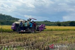 Kementan targetkan cetak sawah rakyat seluas 30 ribu hektare di Kalimantan Selatan