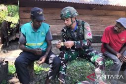 Satgas TNI Yonif 521/DY dorong warga Walesi Jayawijaya perkuat pertanian