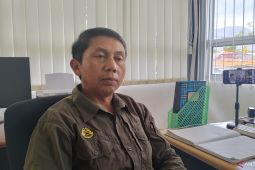 Gunung Marapi  kembali erupsi lontarkan abu vulkanik setinggi 500 meter