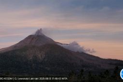 Gunung Lewotobi Laki-laki melontarkan abu setinggi 200 meter