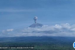 Gunung Semeru erupsi, letusan capai 1.000 meter di atas puncak