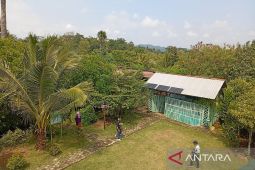 Sida Asih kembangkan konservasi mangrove di Cilacap