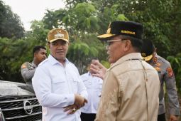 Gubernur Kalteng tinjau dua lokasi cetak sawah rakyat di Pulang Pisau