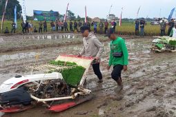 Program Petani Mitra Kejaksaan dapat tingkatkan kesejahteraan petani Lampung