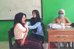 Dinkes Lamsel gencarkan vaksin HPV sasar pelajar SD dan SMP