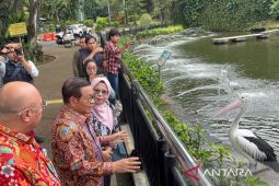 Pemprov DKI Jakarta berencana revitalisasi Taman Margasatwa Ragunan