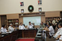 Bangka Belitung targetkan tanam lima juta pohon kelapa