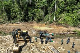Kemenhut hentikan tambang emas ilegal di hutan Sulteng