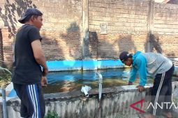 Lapas Kediri berdayakan warga binaan dengan budidaya ikan lele