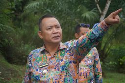 Bupati Bengkayang Kalbar dorong penataan tata ruang untuk kenyamanan warga