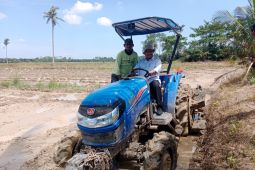 Oplah capai hasil signifikan, Serdang Bedagai jadi lumbung pangan di Sumut