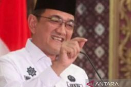 Sumsel tingkatkan fungsi posyandu perhatikan perkembangan anak