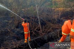 Pemprov Kaltim  waspadai pemicu ancaman karhutla di IKN