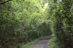 Dishut Lampung imbau masyarakat tak beraktivitas dalam kawasan hutan
