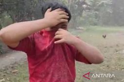 Gubernur sebut DLH telah temukan pelanggaran penyebab "hujan semen" di Bogor