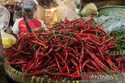 Bapanas: Harga cabai rawit Rp43.148/kg, bawang merah Rp44.481/kg
